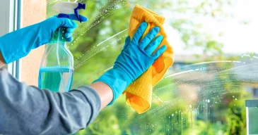 How_to_Clean_Windows